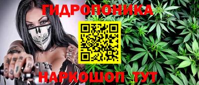 сатива Заводоуковск