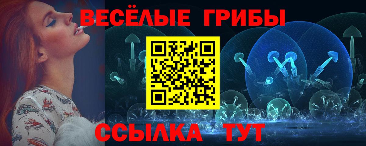 Минеральные Воды  Псилоцибиновые грибы мухоморы  Вход с VPN 
