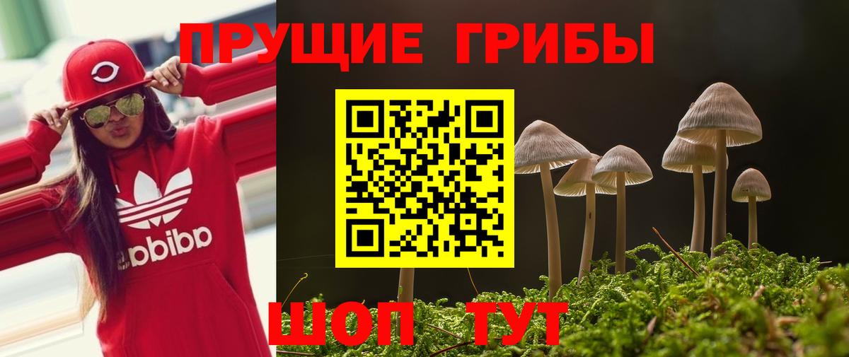 Псилоцибиновые грибы ЛСД Минеральные Воды